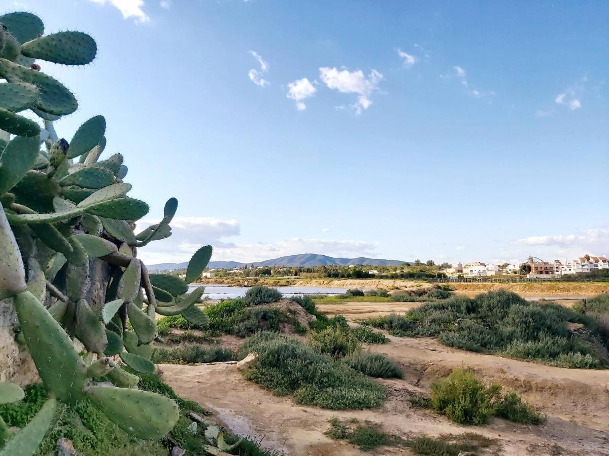 Girassol - Bright, Modern, Well Located Apartment Olhao Bagian luar foto